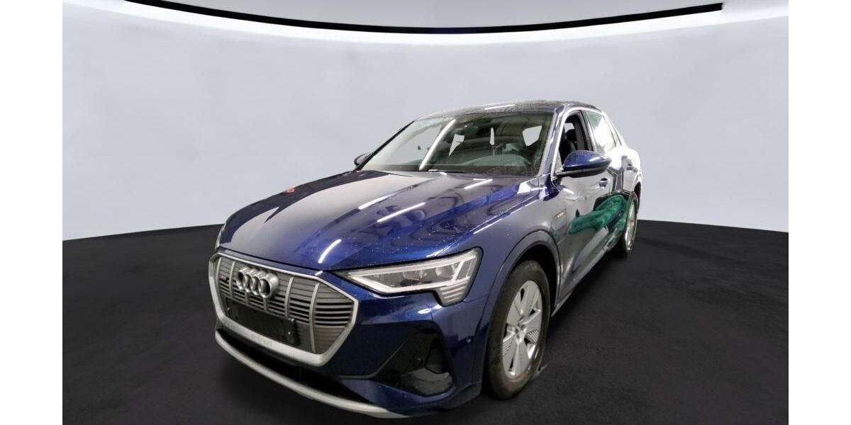 Audi e-tron 79.891 km 33.670 &euro; Hagen 58091