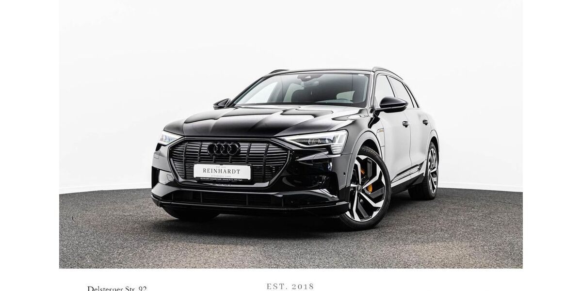 Audi e-tron 35.996 km 32.038 &euro; Hagen 58091