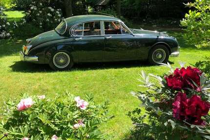 Jaguar MK II 136.000 km 12.499 &euro; Hagen 58093